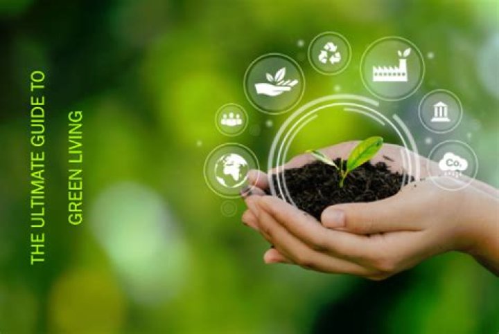 Bloomington Green Goods: Your Ultimate Guide to Sustainable Living