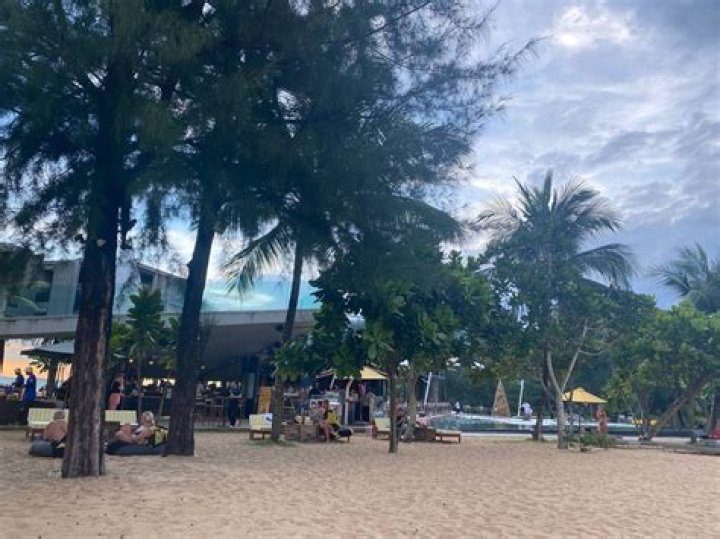 Mangohop Miami Beach: The Ultimate Guide to Your Vibrant Beachside Experience